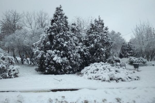 погода в Україні 23 січня 3