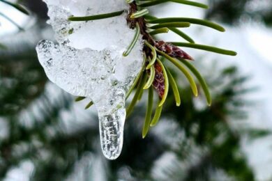 Попередили про небезпечні метеорологічні явища: якою буде погода в Україні 24 січня