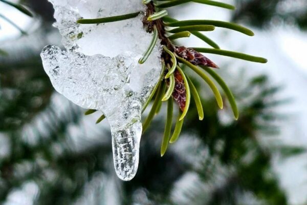 погода в Україні 3