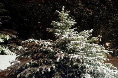 Ожеледиця і налипання мокрого снігу: якою буде погода в Україні 25 січня