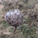 16 січня – яке сьогодні свято, прикмети і традиції, пам’ятні дати, іменини