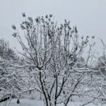 19 січня – яке сьогодні свято, прикмети і традиції, пам’ятні дати, іменини