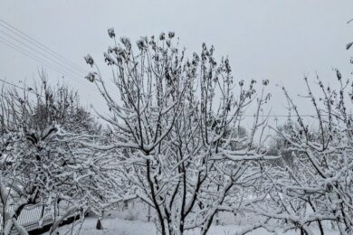 19 січня – яке сьогодні свято, прикмети і традиції, пам’ятні дати, іменини