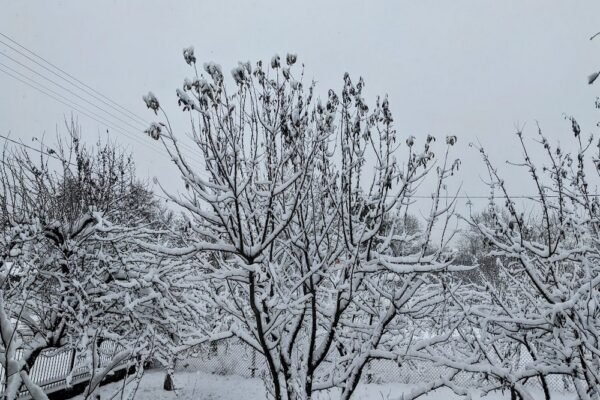 19 січня – яке сьогодні свято, прикмети і традиції, пам’ятні дати, іменини