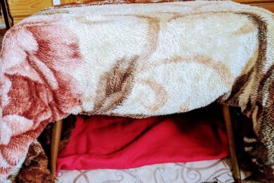 «Халабуда», колективне тепло тіл, фольга: як зігрітися в квартирі без опалення та електрики – перевірені і безпечні лайфхаки від українців