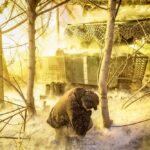 Обстановка на фронті 5 лютого: найбільше атак під Гуляйполем і Покровськом