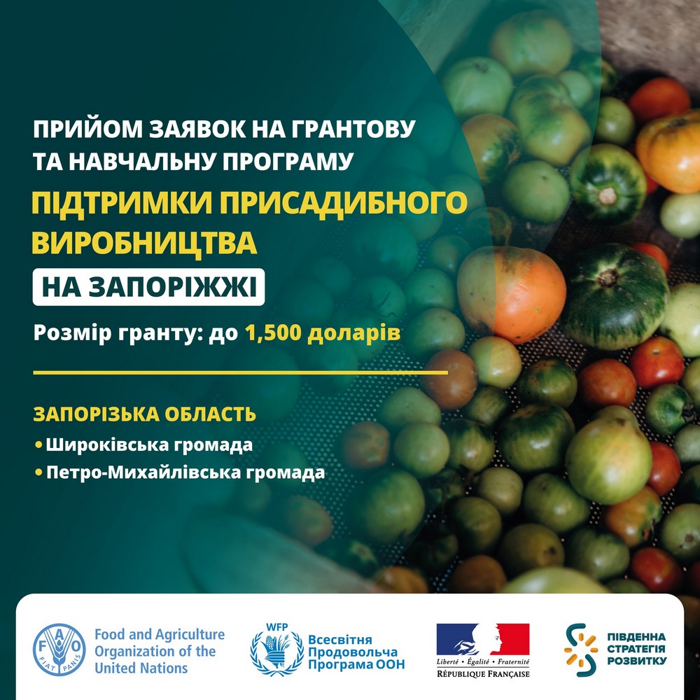 Грошова допомога на Запоріжжі – хто може отримати грант 1500 доларів Грошова допомога на Запоріжжі – хто може отримати грант 1500 доларів