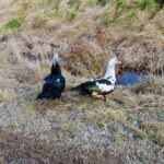 8 лютого – яке сьогодні свято, прикмети і традиції, пам’ятні дати, імениниh879 s no gm