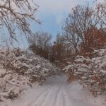 5 лютого – яке сьогодні свято, прикмети і традиції, пам’ятні дати, іменини