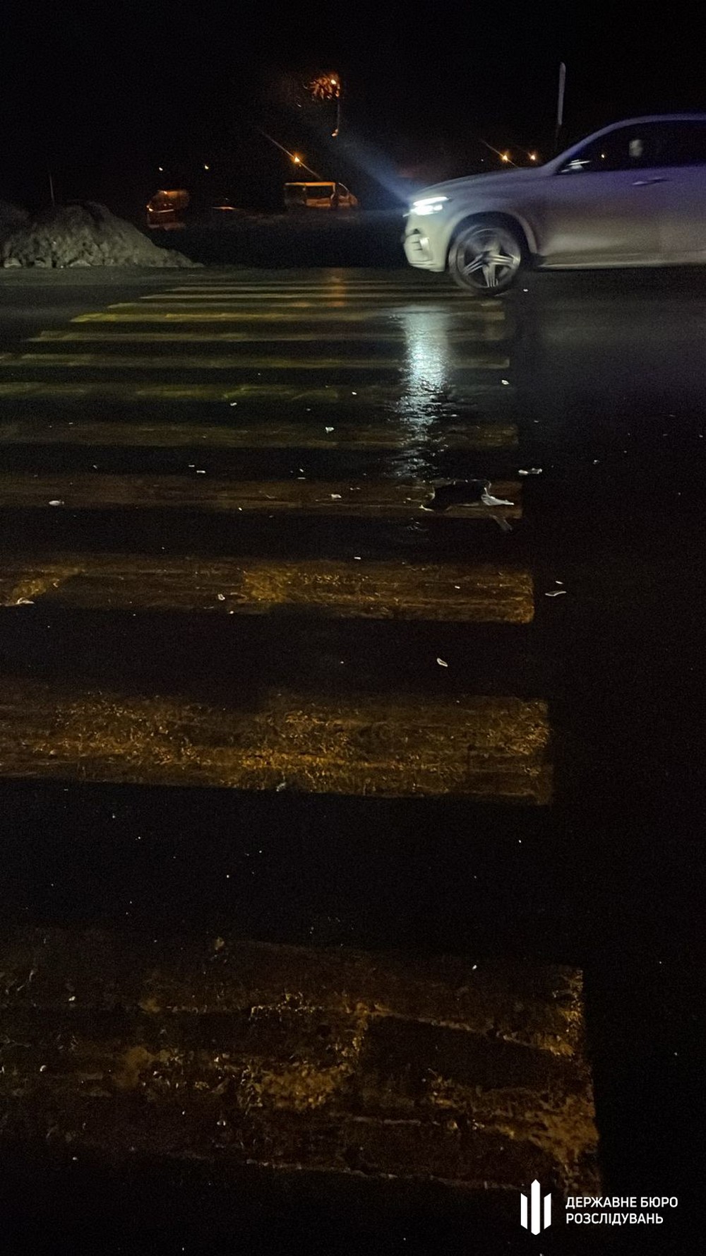 Прокурор збив двох дітей на «зебрі»: смертельна ДТП на Львівщині – подробиці від ДБР (фото, відео) Прокурор збив двох дітей на «зебрі»: смертельна ДТП на Львівщині – подробиці від ДБР (фото, відео)