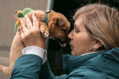 Евакуація з тваринами: чи можна жити у прихистку з домашнім улюбленцем – чітка відповідь