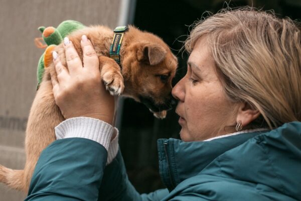 Евакуація з тваринами: чи можна жити у прихистку з домашнім улюбленцем – чітка відповідь