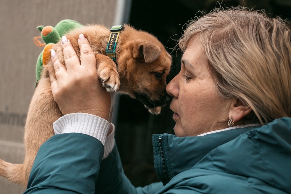 Евакуація з тваринами: чи можна жити у прихистку з домашнім улюбленцем – чітка відповідь