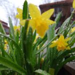 Індексація пенсій, виплати родинам загиблих, оновлення «Національного кешбеку», доплати по 20 тис грн., початок реєстрації на НМТ, вилучення деяких банкнот та перехід на літній час - основні зміни з 1 березня