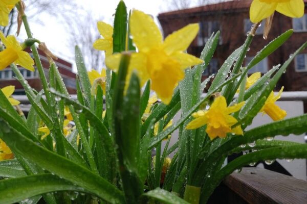 Індексація пенсій, виплати родинам загиблих, оновлення «Національного кешбеку», доплати по 20 тис грн., початок реєстрації на НМТ, вилучення деяких банкнот та перехід на літній час - основні зміни з 1 березня