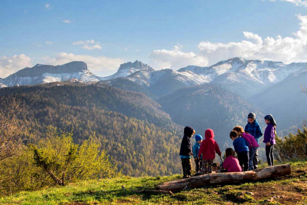 Безкоштовний відпочинок дітей у Карпатах – хто і як може подати заявку
