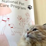 Відсьогодні розпочинається видача корму та товарів для домашніх тварин у Кривому Розі – куди звертатися