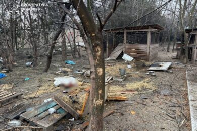 Загинули люди і тварини: окупанти атакували притулок у Запоріжжі і будинок у Вільнянську (фото)