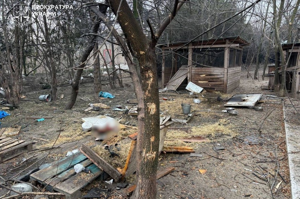 Загинули люди і тварини: окупанти атакували притулок у Запоріжжі і будинок у Вільнянську (фото)