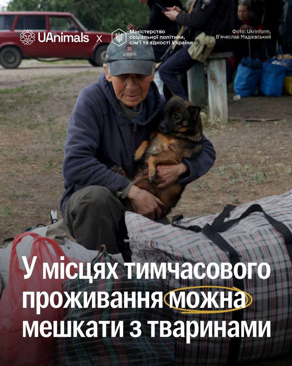 Евакуація з тваринами: чи можна жити у прихистку з домашнім улюбленцем – чітка відповідь
