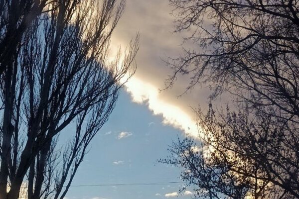 погода в Україні 11 лютого 3