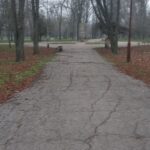 погода в Україні 14 лютого 4