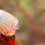 погода в Україні 21 лютого 3