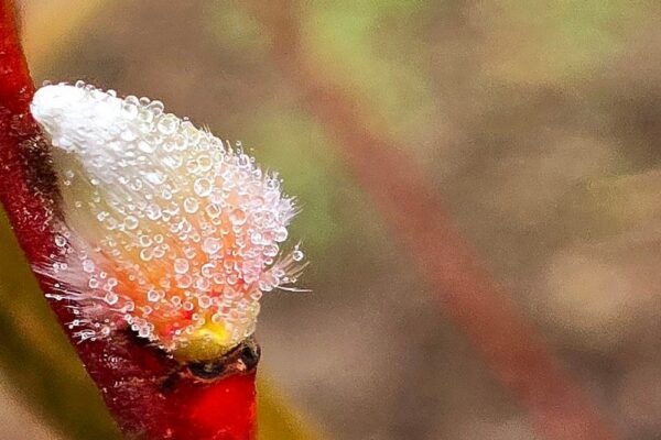 погода в Україні 21 лютого 3