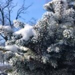 погода в Україні 22 лютого 3