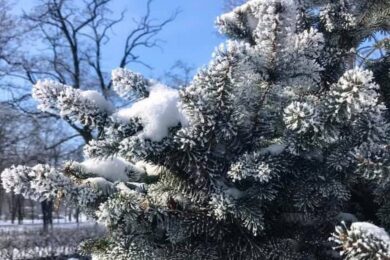 Хмарно з проясненнями: якою буде погода в Україні 22 лютого