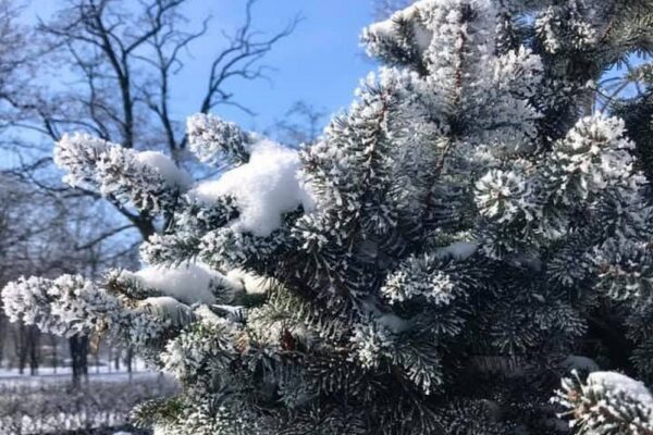 погода в Україні 22 лютого 3