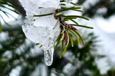 Попередили про небезпечні метеорологічні явища: якою буде погода в Україні 24 лютого