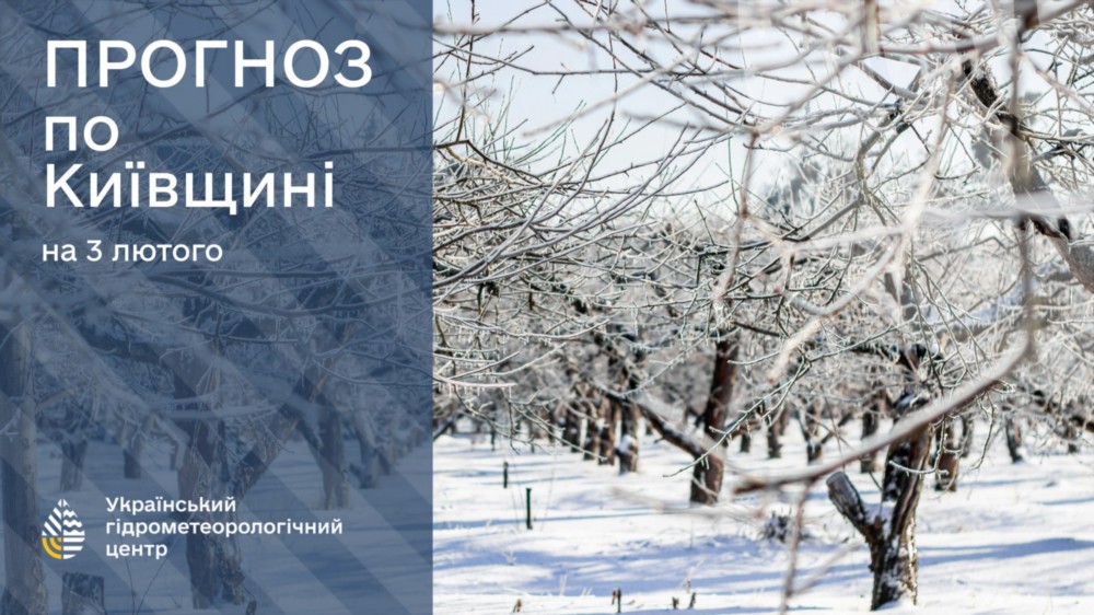 погода в Україні 3 лютого 2