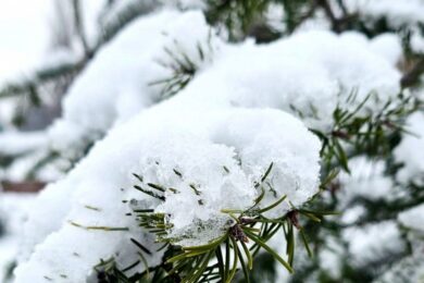 До 27  градусів морозу: якою буде погода в Україні 3 лютого