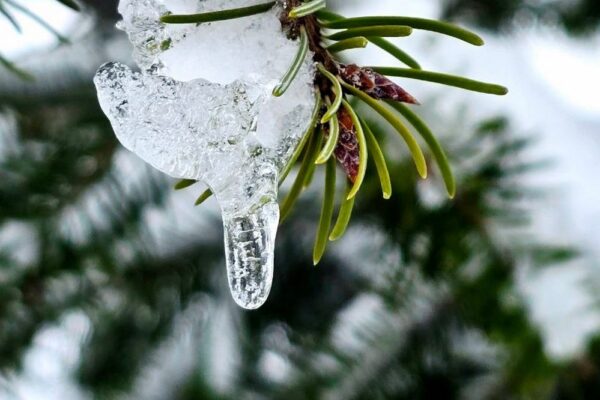 погода в Україні 3