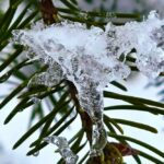 погода в Україні 4