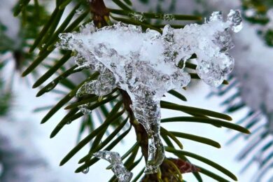 погода в Україні 4