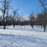 погода в Україні 2