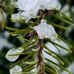 Погода в Україні 2