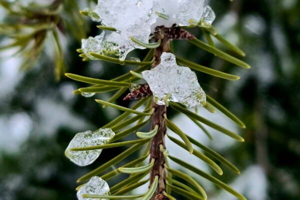 Погода в Україні 2