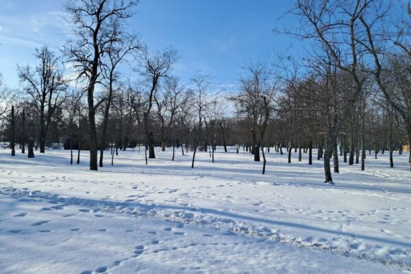 погода в Україні 2