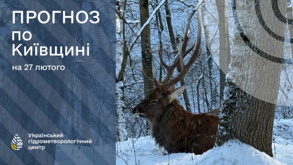 Погода в Україні 2 Погода в Україні 2