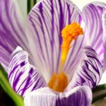 погода в Україні 3