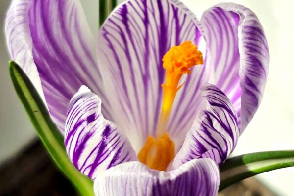 погода в Україні 3