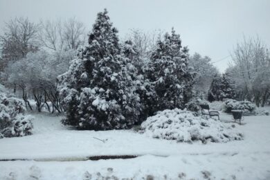 Мокрий сніг та дощ: якою буде погода в Україні 23 лютого