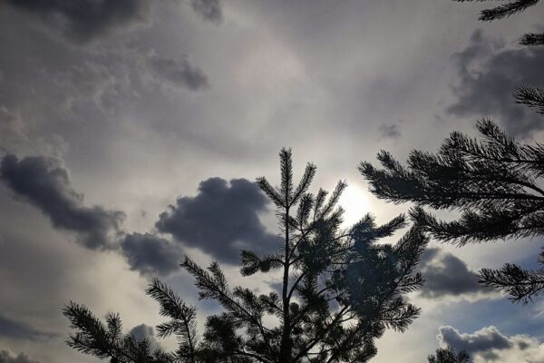 погода в Україні 4