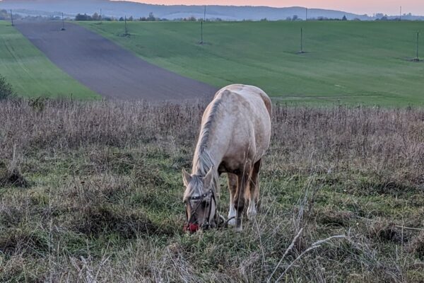 23 лютого – яке сьогодні свято, прикмети і традиції, пам’ятні дати, іменини
