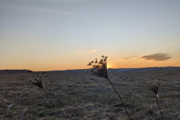 18 лютого – яке сьогодні свято, прикмети і традиції, пам’ятні дати, іменини