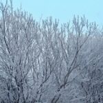 6 лютого – яке сьогодні свято, прикмети і традиції, пам’ятні дати, іменини