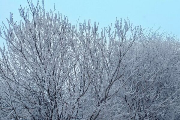 6 лютого – яке сьогодні свято, прикмети і традиції, пам’ятні дати, іменини